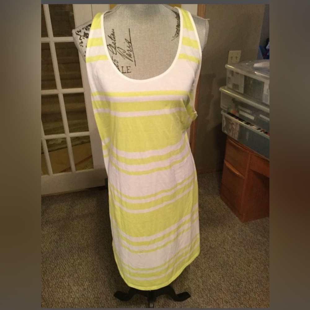Plus size women’s razor tank dress